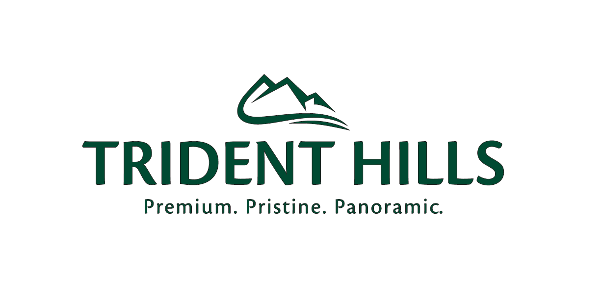 Trident hills panchkula